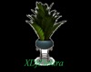 *Serp Plant