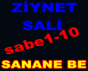 ZİYNET SALİ SANANE BE