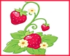 Strawberry Filler