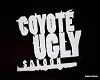 Coyote Ugly Back ground