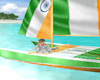 India's Catamaran