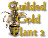 Gilded Gold Plant 2