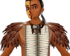 Red Tail Hawk Feathers M