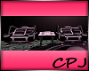 CPJ Pink&Blck 2chair set