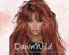 Echo Copper Bangs