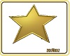 Gold Star Dance Marker