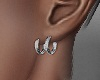 Hoops Earrings