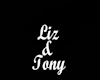 Liz & Tony Necklace/F