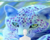 Blue cat background