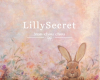 lillysecret store bag 2