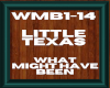 little texas WMB1-14