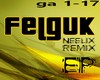 felguk & neelix