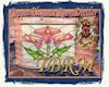 [TBRM]Copper Elgnc Lily