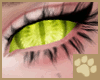 ~AM~ Dúlra Eyes v2