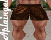 Brown Shorts