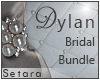 [S]DYLAN BUNDLE