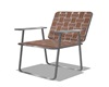 Brown/Silver Lawn Chair