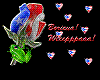 Boricua Coqui/Rose Flag