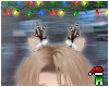 Reindeer ears