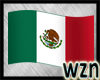 wzn Mexico Flag