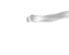 *R*Cat Tail*W