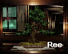 Ree|BONSAI and CABINET