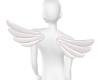 small angel wings