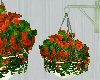Hanging flowers orange 1