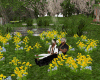 Romantic Dandelion