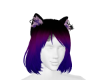 HV_ Purple Catlook