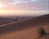 (LIR) Backdrop desert