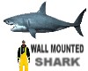 Shark wall furniture