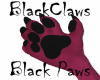 BlackClawsBlackPawsM