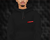 Hoddies Pradas