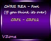 CHRIS REA - Fool