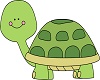 Cute Baby  Turtle