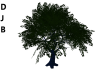 PANDORAS  Living Tree