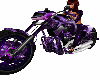 purple bike vrod