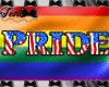 Gay Pride Handheld Flag