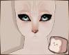 ⊹ Wrinkles Brows V2