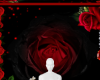 Red black heel bg