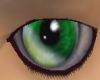 Green dream eyes m