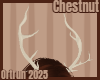 Chestnut Antlers 1