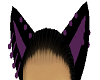 Purple Black Cats Ears