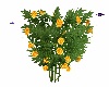 Butterfly Bush Gold