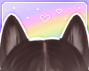🌙 Husky Ears Brew