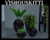 [VK] 2 Bdr Plants
