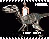 Wild Beast Raptor Pet
