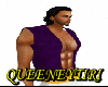 QN*Aladdin Vest Purple