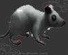 [M1105] Spooky Rat